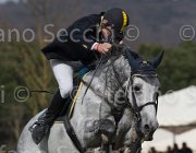 Arioldi R Utile TosTour 2013- S5 7172 : Arezzo Equestrian Centre, Arioldi Roberto, Toscana Tour 2013, Utile, foto di Stefano Secchi ©